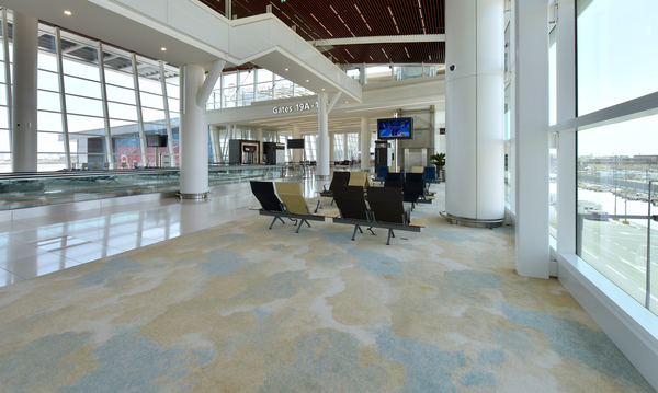 Projects from all over the world