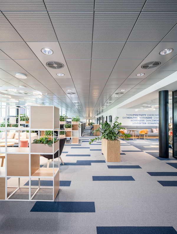 Projects from all over the world