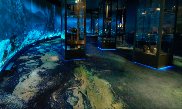 University Museum of Bergen