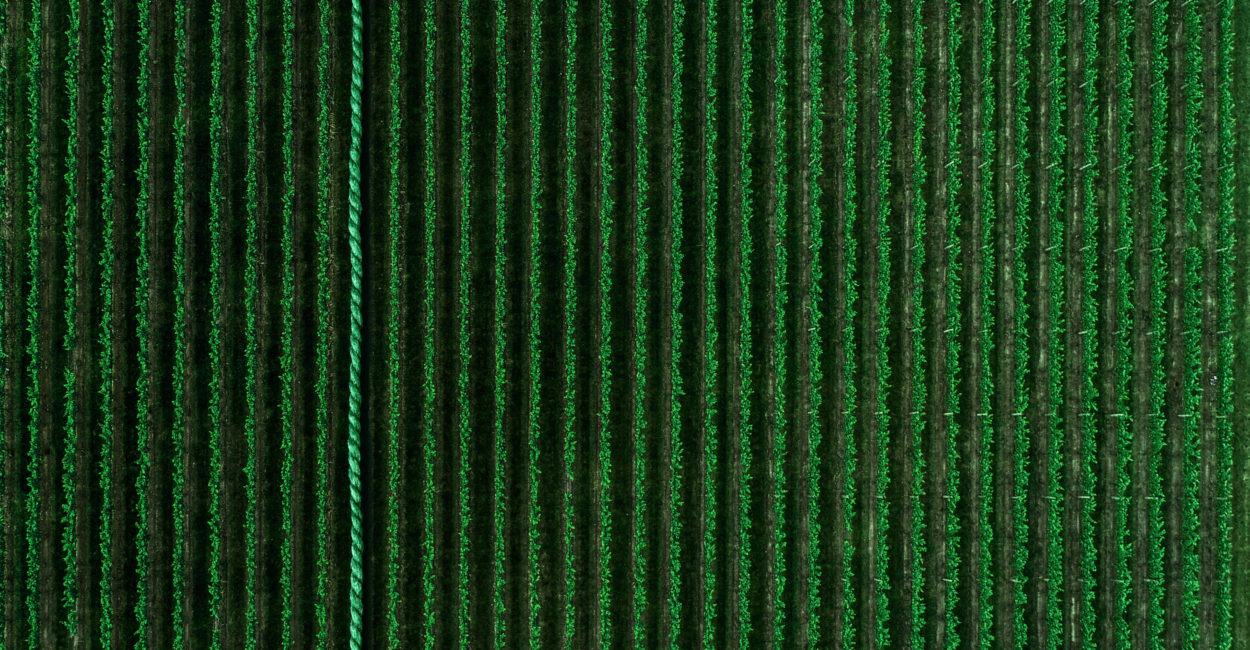 We have decades <br>of experience in being green