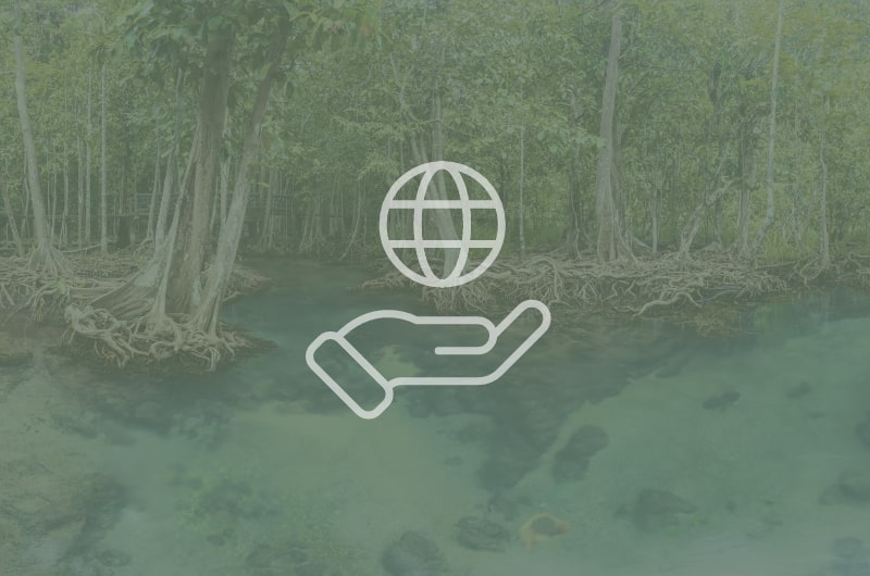 Company responsibility 