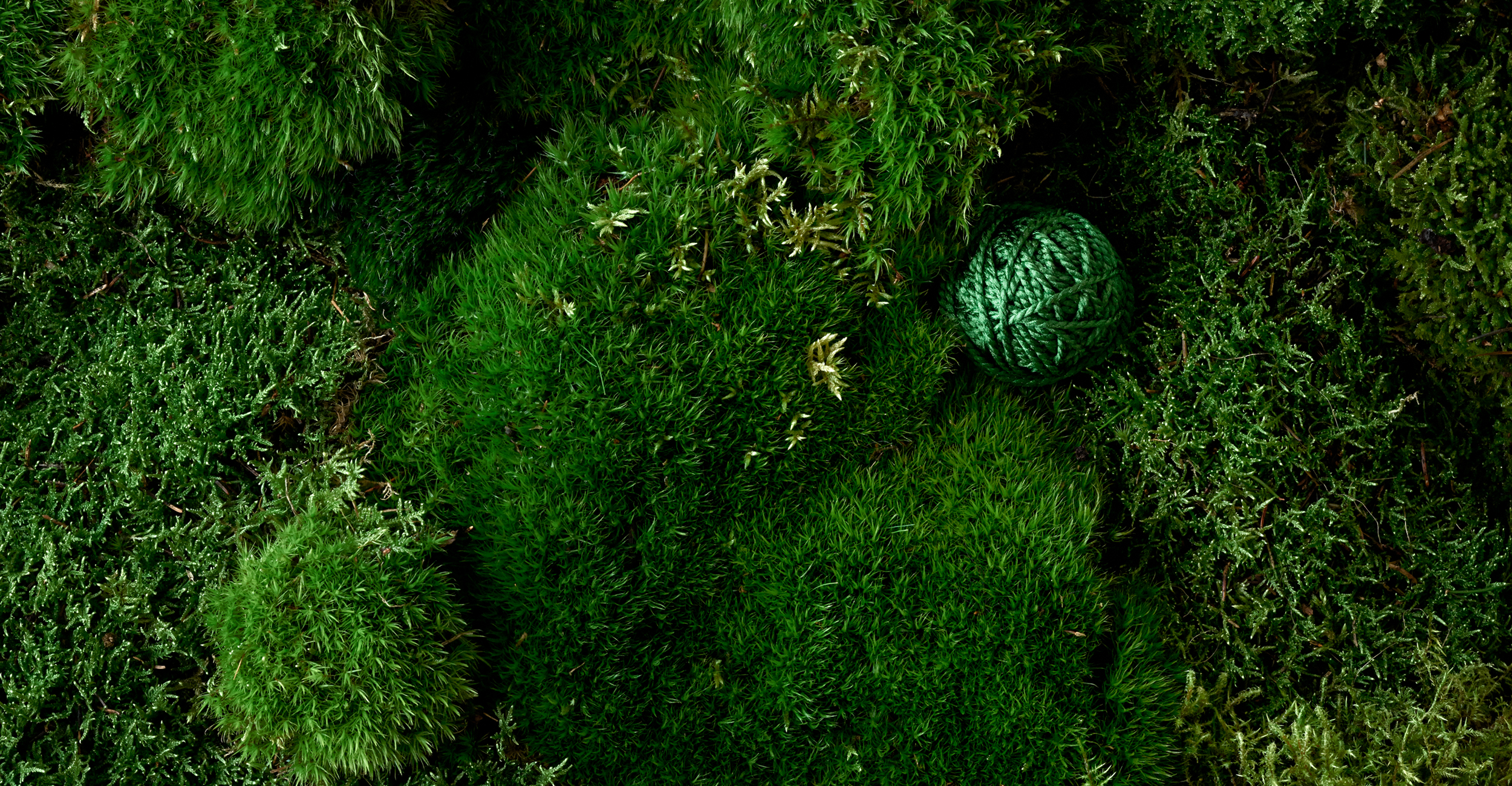 OUR SUSTAINABILITY STRATEGY