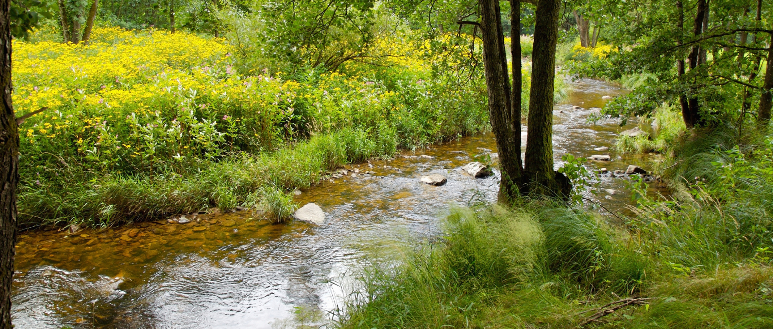 Circular processes<br> in our production 